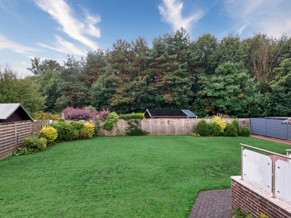 Blick auf den Rhedaer Forst