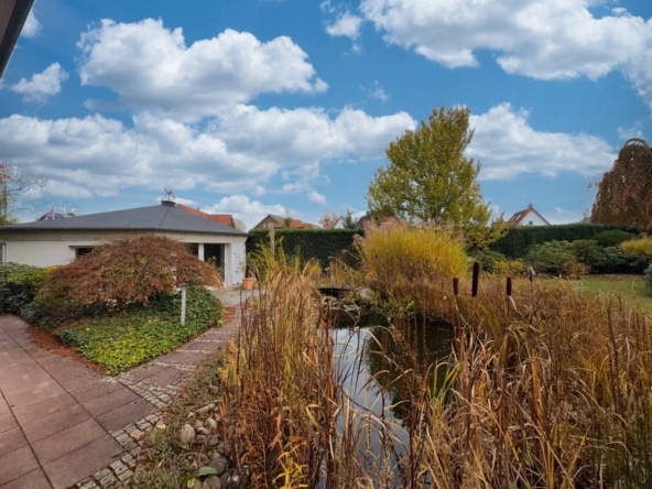 Blick in den Garten mit Teich